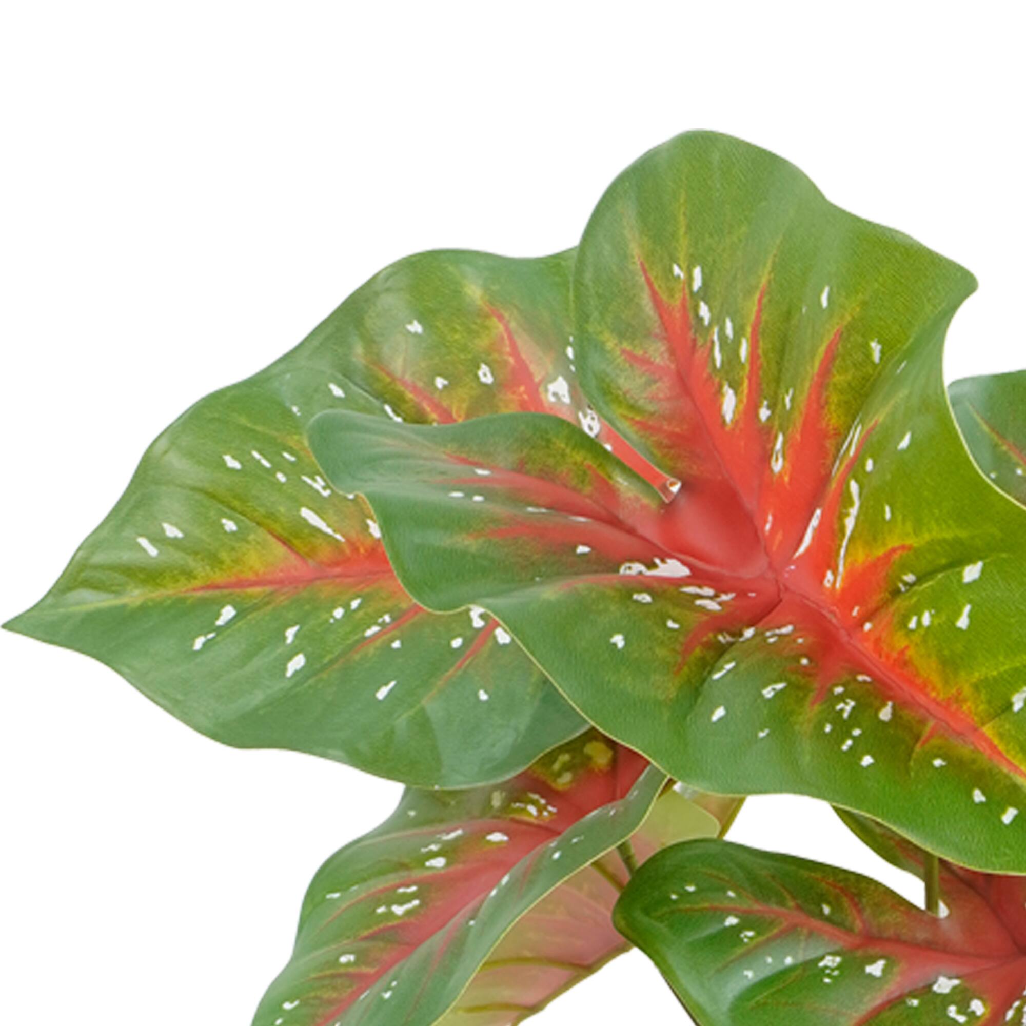 18.5" Green Caladium Bush by Ashland®